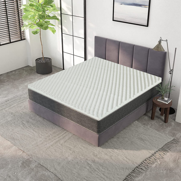 Alwyn Home 1'' Mattress Topper Wayfair